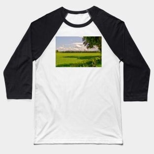 ibs meadow Baseball T-Shirt